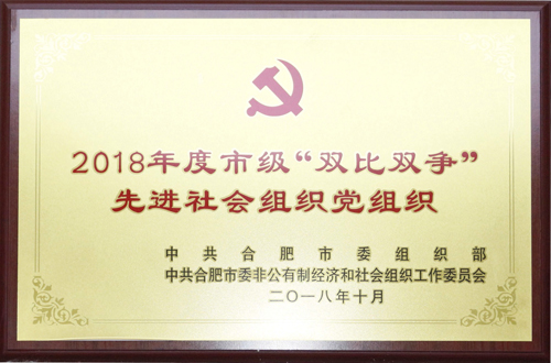 易道教育集团党支部荣获2018年度市级“双比双争”先进社会组织党组织称号